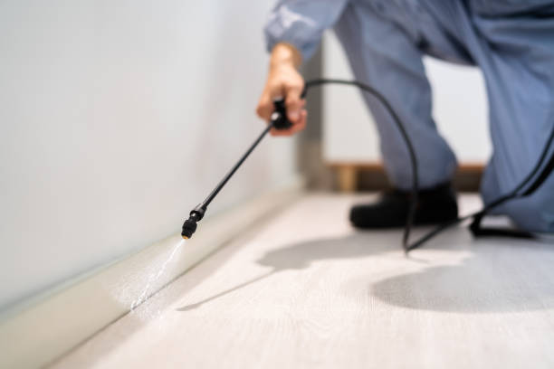 Licensed Pest Control service in Barrackville, WV - Show Me Pest Control