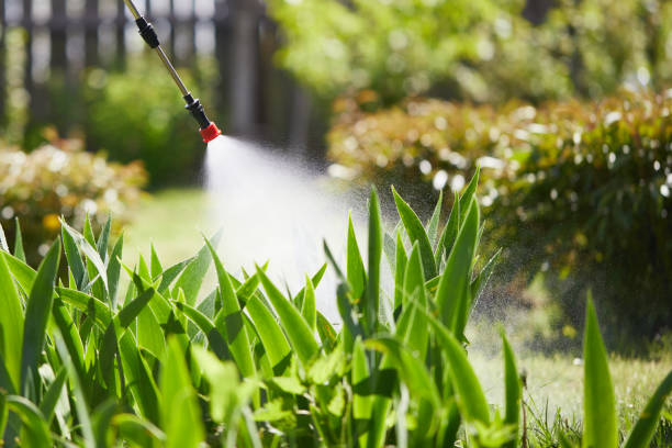 24/7 Emergency Mosquito Control experts in Barrackville, WV