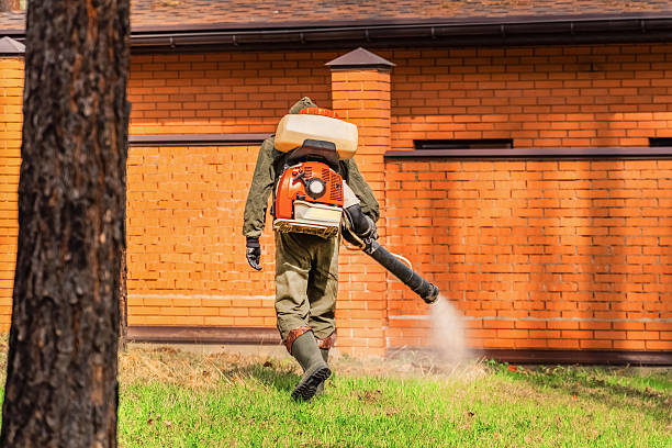 Top rated local Mosquito Control specialists in Barrackville, WV